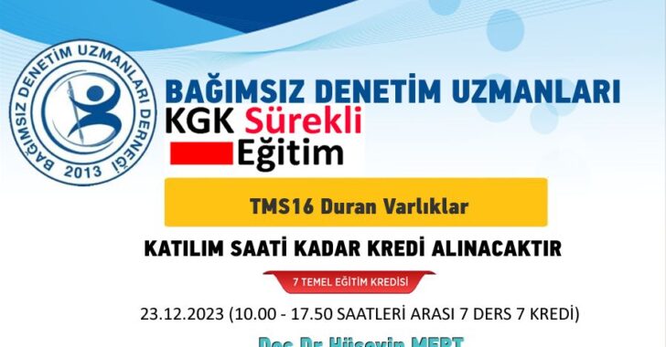 TMS 16 Duran Varlıklar
