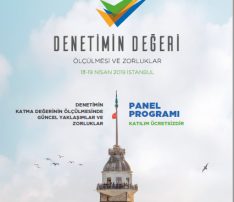 Denetimin Değeri