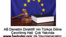 Türkçe AB Denetim Direktifi