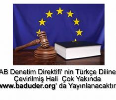 Türkçe AB Denetim Direktifi