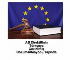 AB. Denetim Direktifi Türkçe Dökümantasyonu