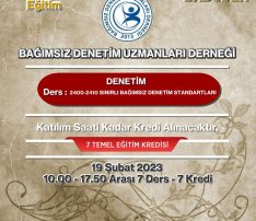 2400-2410 SINIRLI BAĞIMSIZ DENETİM STANDARTLARI