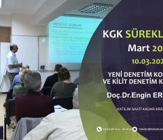 YENİ DENETİM KONULARI VE KİLİT DENETİM KONULARI