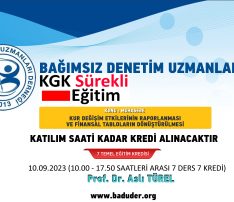 KUR DEĞİŞİM ETKİLERİNİN RAPORLANMASI VE FİNANSAL TABLOLARIN DÖNÜŞTÜRÜLMESİ