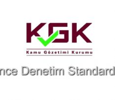 Güvence Denetim Standardı 3000