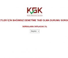Şirketler İçin Bağımsız Denetime Tabi Olma Durumu Sorgulama