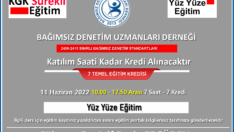 2400 – 2410 SINIRLI DENETİM STANDARTLARI