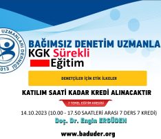 DENETÇİLER İÇİN ETİK İLKELER