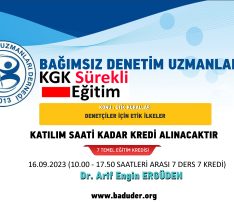 DENETÇİLER İÇİN ETİK İLKELER