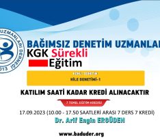 HİLE DENETİMİ-1