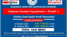 Bağımsız Denetim Uygulamaları –Örnekli-I-