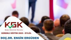 Bağımsız Denetim Uygulamaları