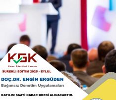 Bağımsız Denetim Uygulamaları