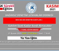 BDS 500-599 DENETİM KANITLARI-I