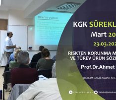 RİSKTEN KORUNMA MUHASEBESİ VE TÜREV ÜRÜN SÖZLEŞMELERİ
