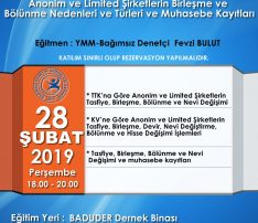 Anonim ve Limited Şirketlerin Birleşme ve Bölünme Nedenleri ve Türleri ve Muhasebe Kayıtları