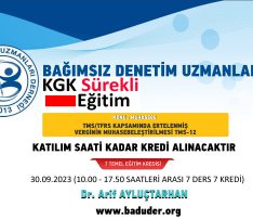 TMS/TFRS KAPSAMINDA ERTELENMİŞ VERGİNİN MUHASEBELEŞTİRİLMESİ TMS-12