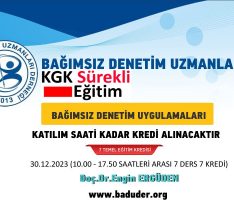 Bağımsız Denetim Uygulamaları