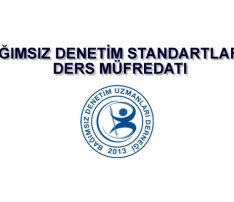 Bağımsız Denetim Standartları – 1