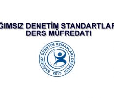 Bağımsız Denetim Standartları – 2