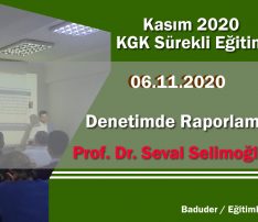 Denetimde Raporlama