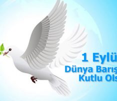 Dünya Barış Günü