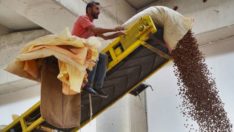 Fındık haberi sevinçle karşılandı