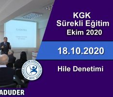 Hile Denetimi