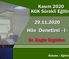 Hile Denetimi – I –
