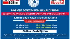 BDS500-599 DENETİM KANITLARI-I-