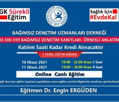 BDS500-599 DENETİM KANITLARI-I-