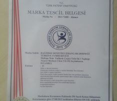 Marka Tescil Kabulü