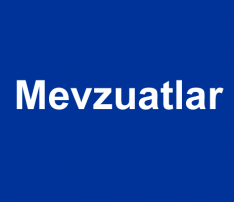 Bağımsız Denetime Tabi Olma Şartları