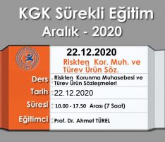 Riskten Korunma Muhasebesi ve Türev Ürün Sözleşmeleri