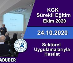 Sektörel Uygulamalarıyla Hasılat