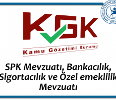 SPK Mevzuatı, Bankacılık, Sigortacılık ve Özel Emeklilik Mevzuatı